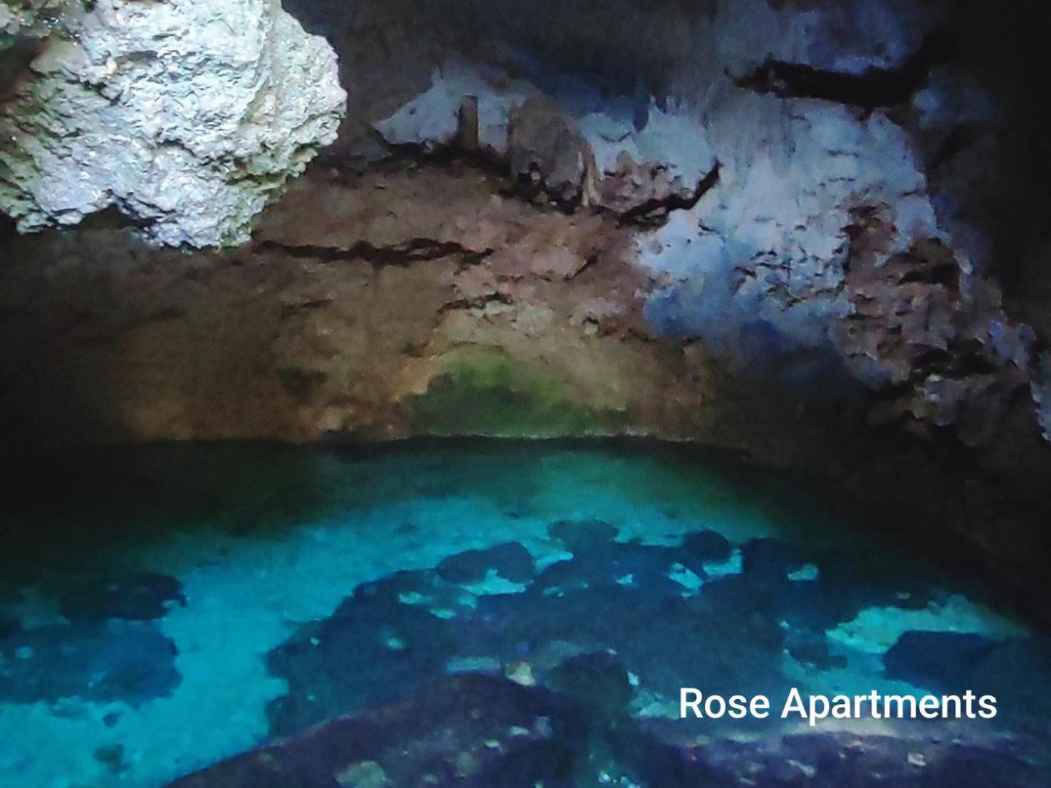 Rose Apartments Anda  Bagian luar foto